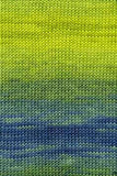 Lang Yarns Merino+ Color